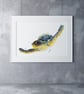 Turtle Watercolour Painting - Signed Limited Edition Print