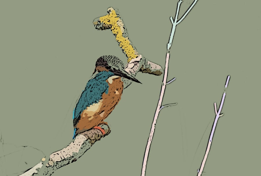 Kingfisher Art Greeting Card A5 