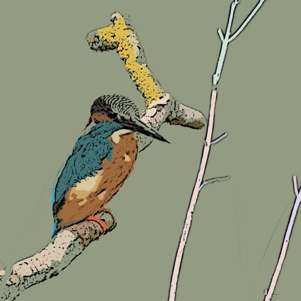 Kingfisher Art Greeting Card A5 