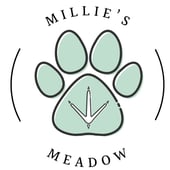 Millie’s Meadow