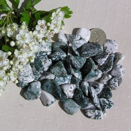 10 Tree Agate Crystal Tumblestones - Crafting