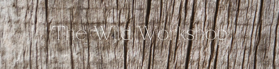 The Wild Workshop