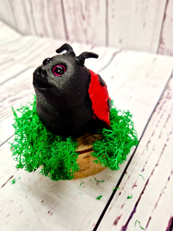 Loving Ladybug - Little Wonders Range