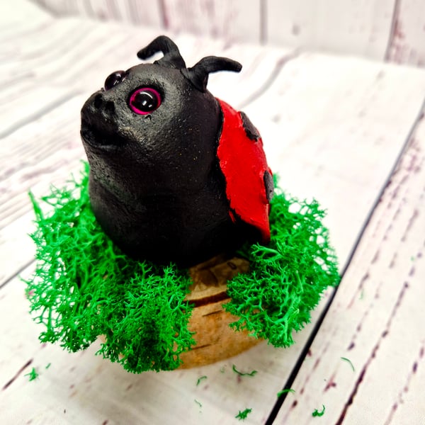 Loving Ladybug - Little Wonders Range