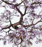 Bonsai Tree Wire Sculpture - Image 3