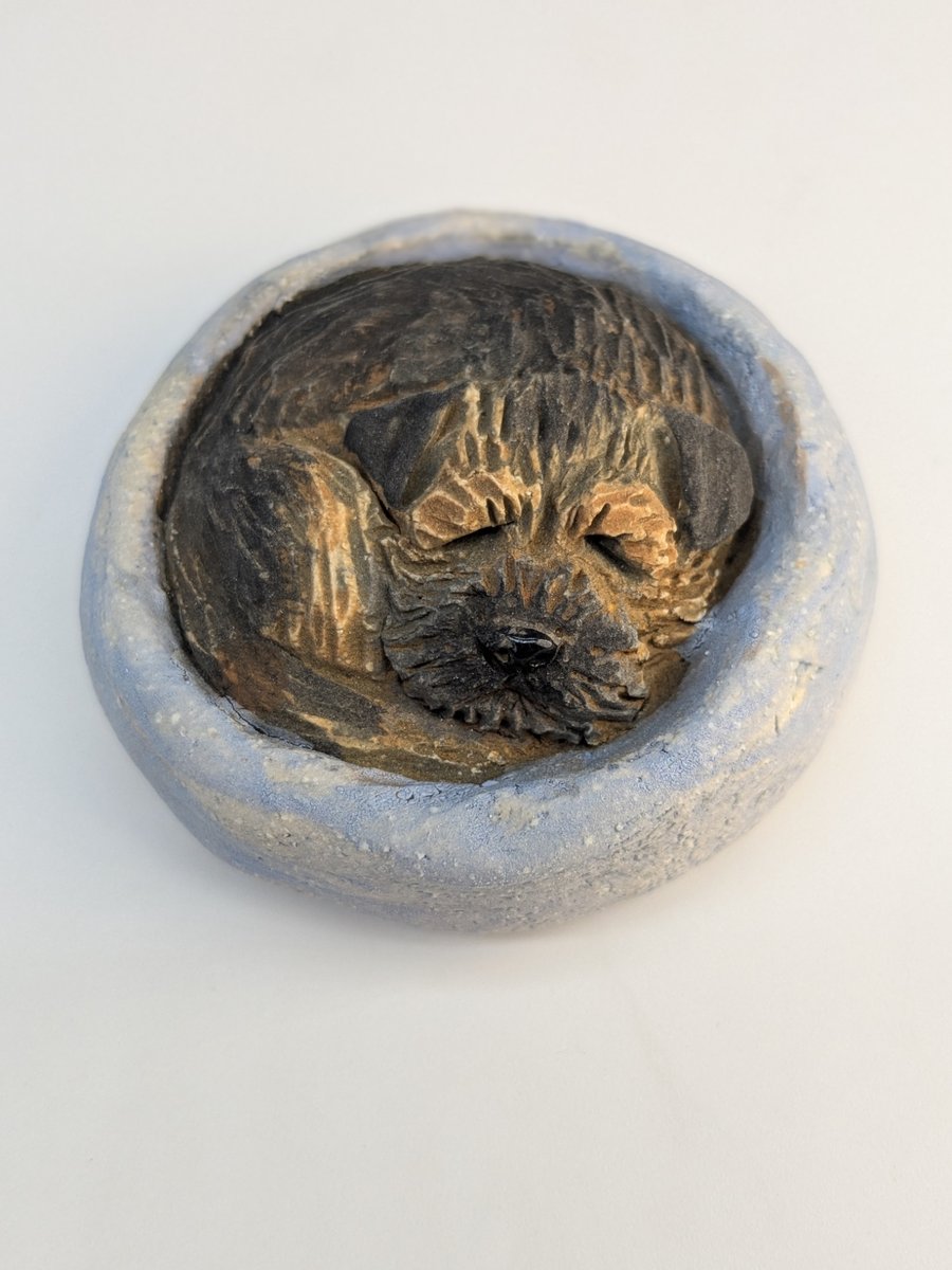 Border Terrier Yorkshire Pudding - 4