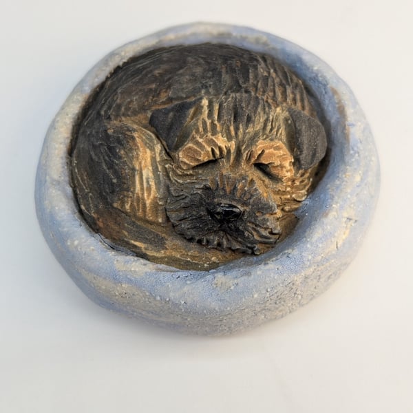 Border Terrier Yorkshire Pudding - 4