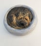 Border Terrier Yorkshire Pudding - 4