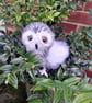 Snowy Owl, Dotpebblesknits Design - Image 8