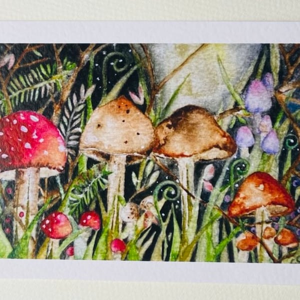  " Mushrooms Study " Print from my Original Watercolour Artwork