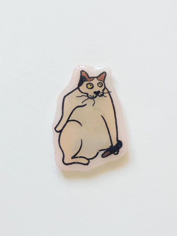 Good News Cat– Handmade Original Pet Illusration Fridge Magnet