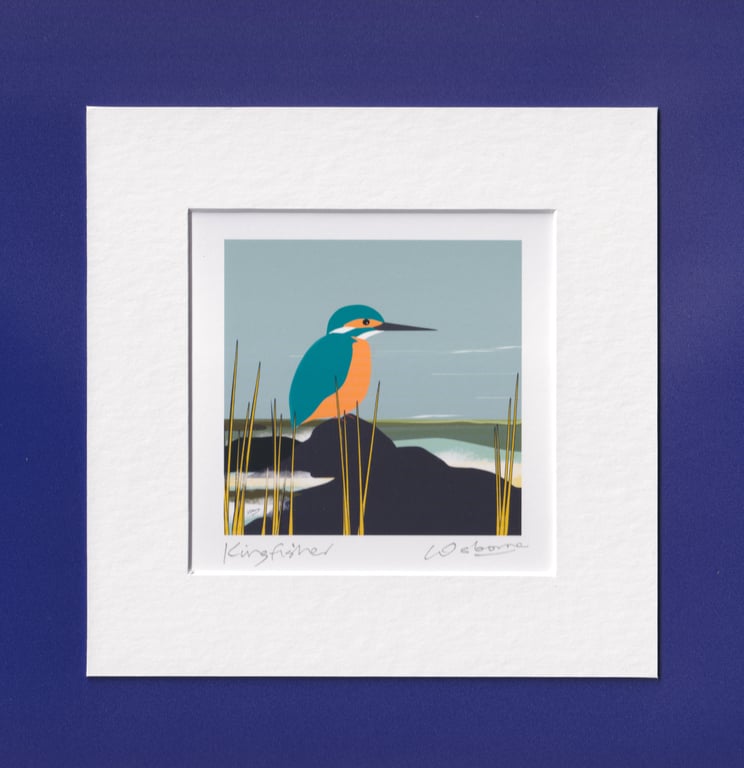 Kingfisher - print from bird illustration with mount