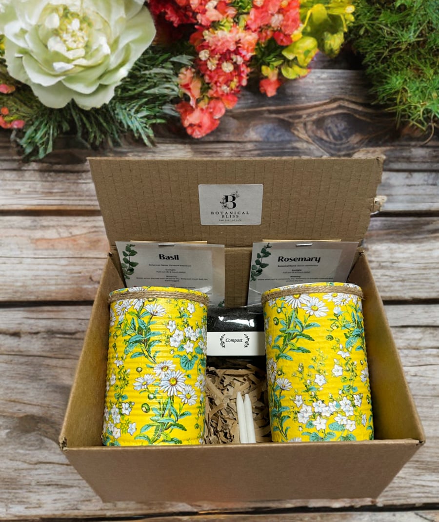 Ditsy Daisy Handmade Recycled Eco-Friendly Indoor Kitchen Herb Gift Set