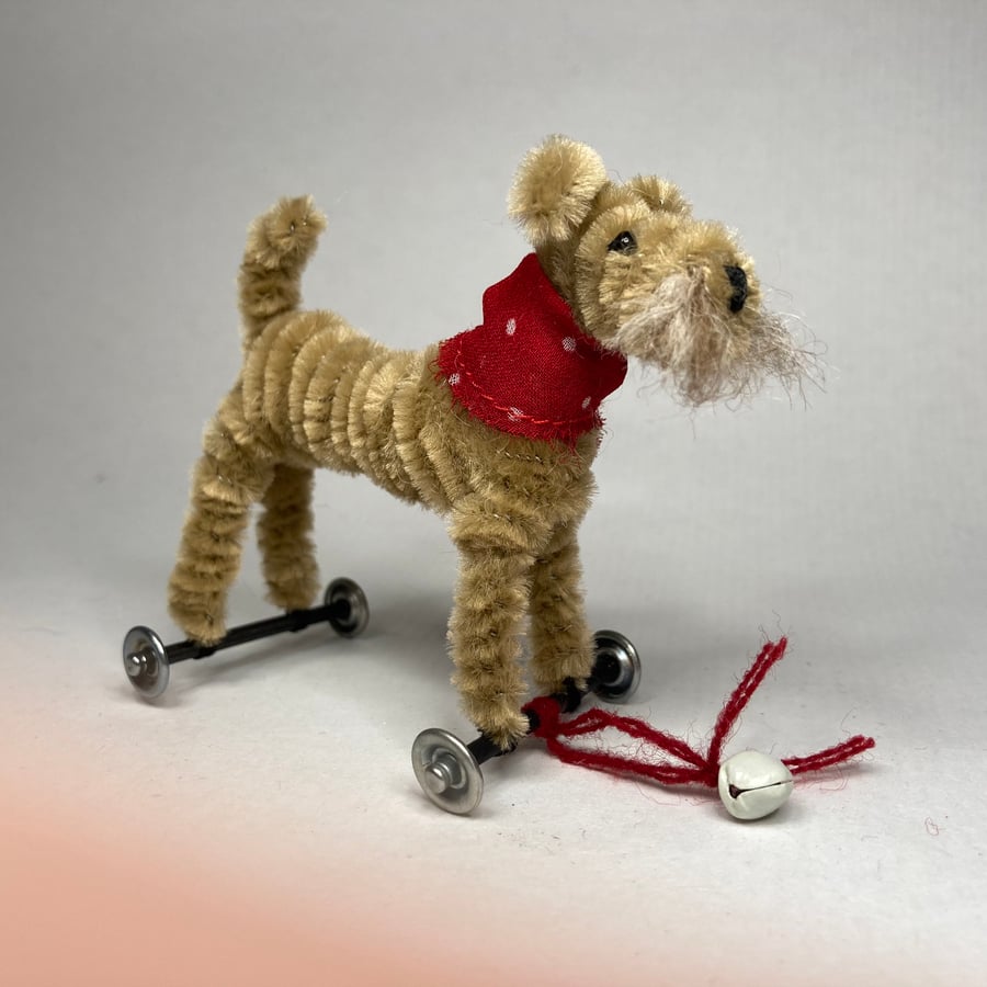 Billy - little dog on wheels. 