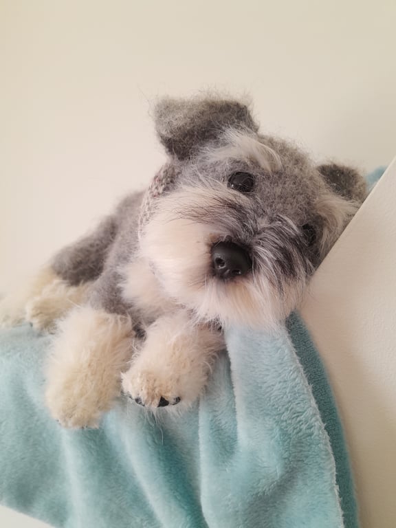 Schnauzer Puppy, dotpebblersknits design