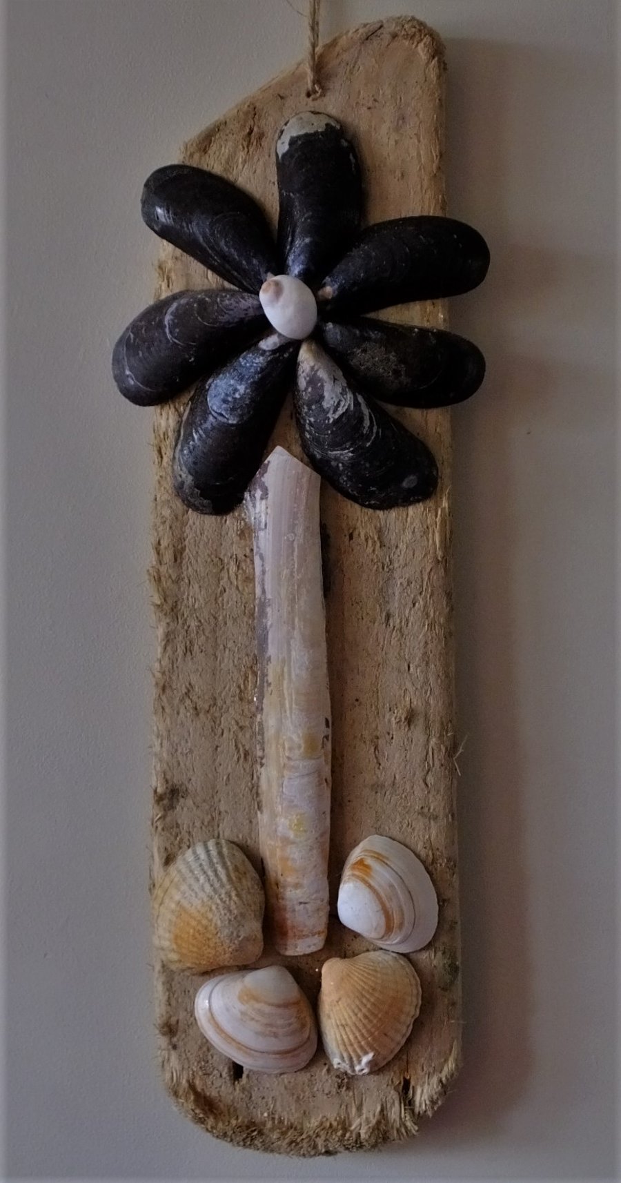 DRIFTWOOD & SEA SHELL WALLHANGING ALL BITS FROM CORNWALL