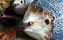 Ceramic Garden Hedgehogs