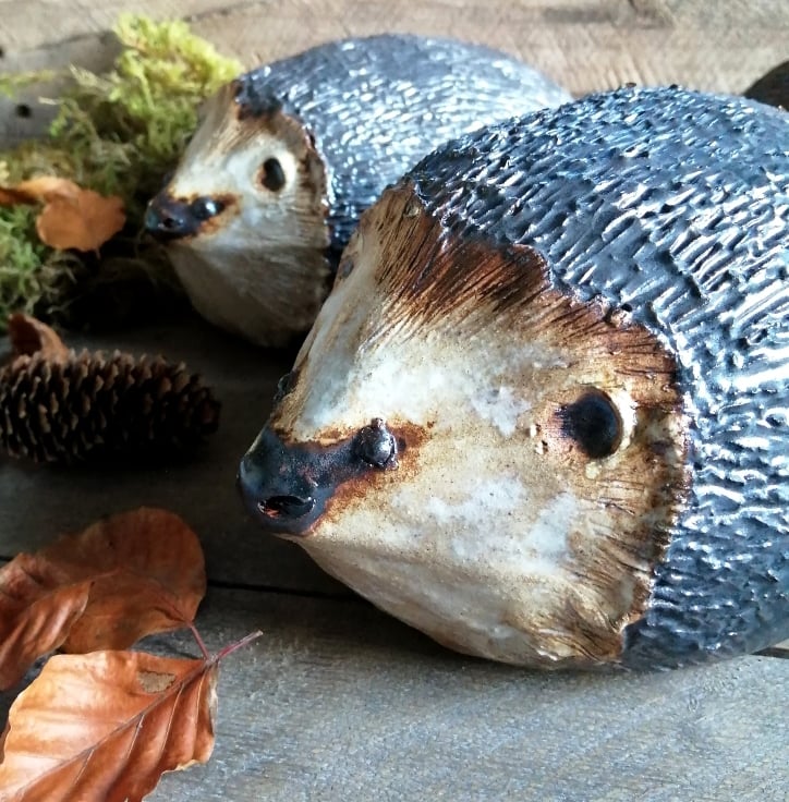 Gifts for Hedgehog Lovers