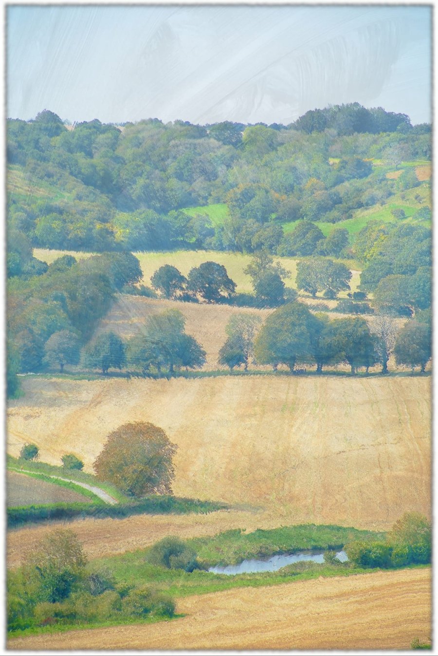 Dorset Countryside Picture