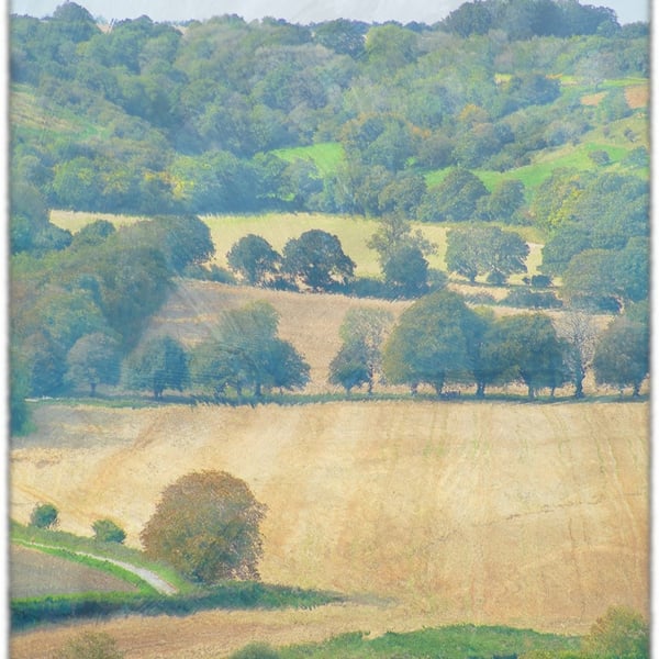 Dorset Countryside Picture