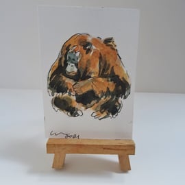 ACEO Orangutan Sitting Original Watercolour & Ink Painting OOAK 