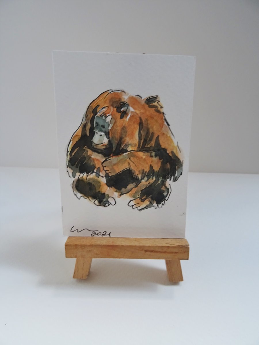 ACEO Orangutan Sitting Original Watercolour & Ink Painting OOAK 