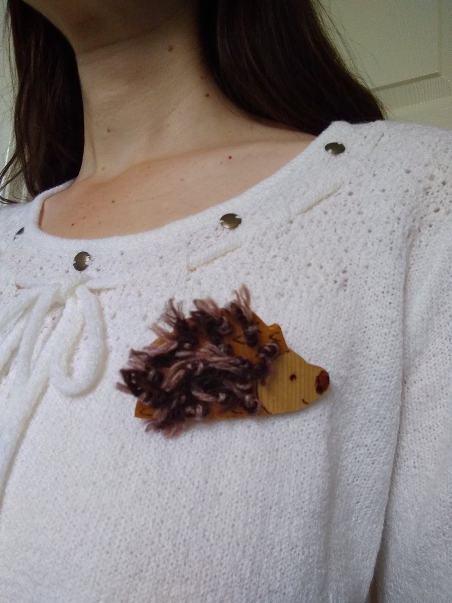 Hedgehog brooch, gift for her, wildlife lovers gift, nature lovers gift, 