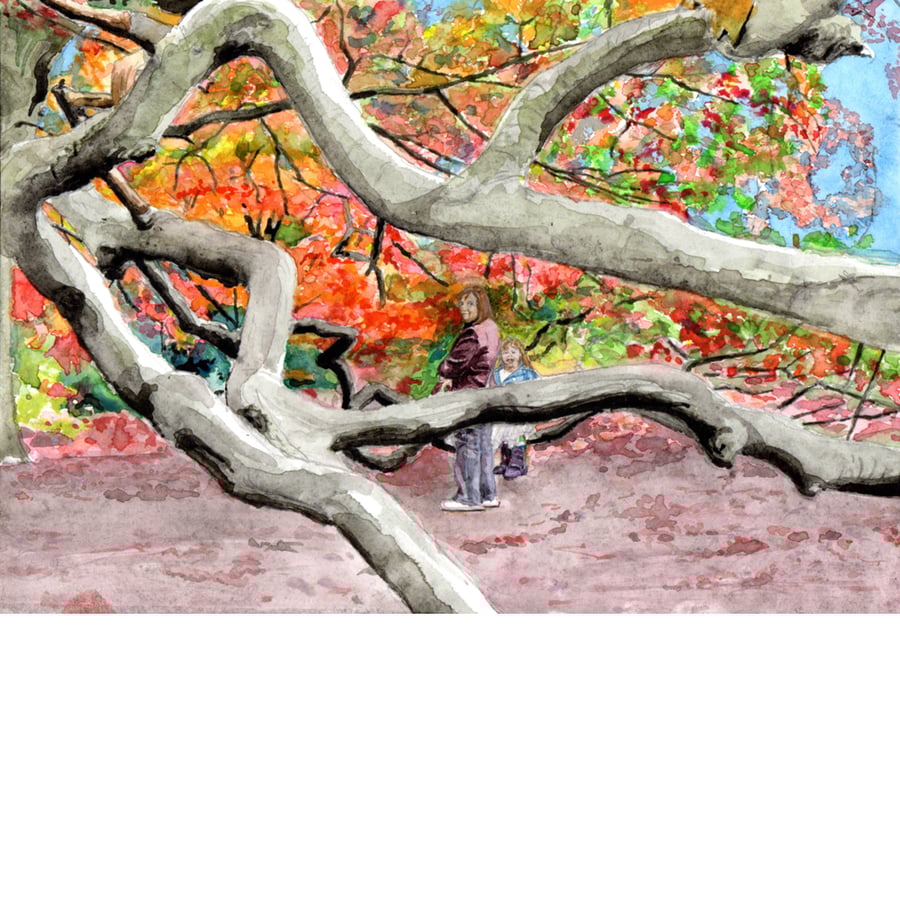 Cannizaro Park Autumn. Original watercolour painting.