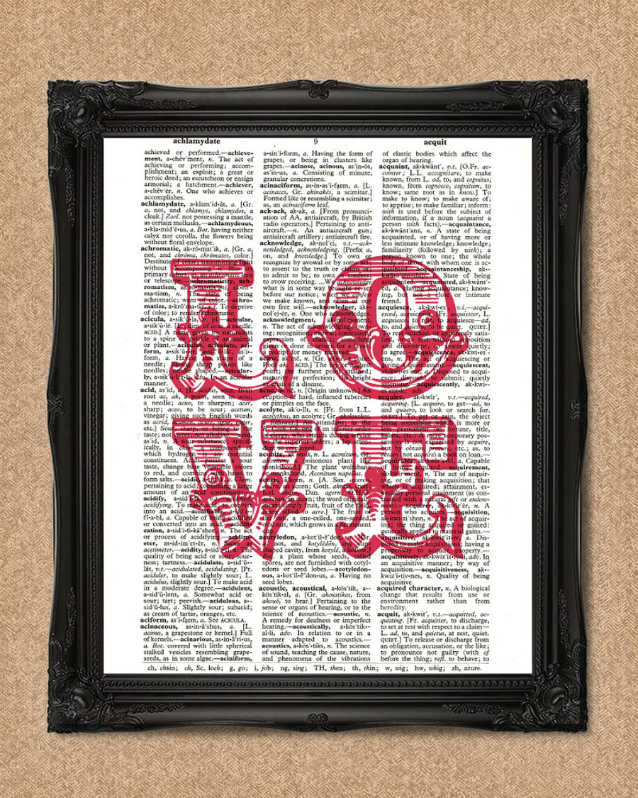 LOVE DICTIONARY PRINT red typography art A108D-RD