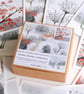 Winter Garden - Box of 12 Small Cards