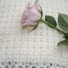  Classic Cream Shade Scarf - Crocheted Scarf 