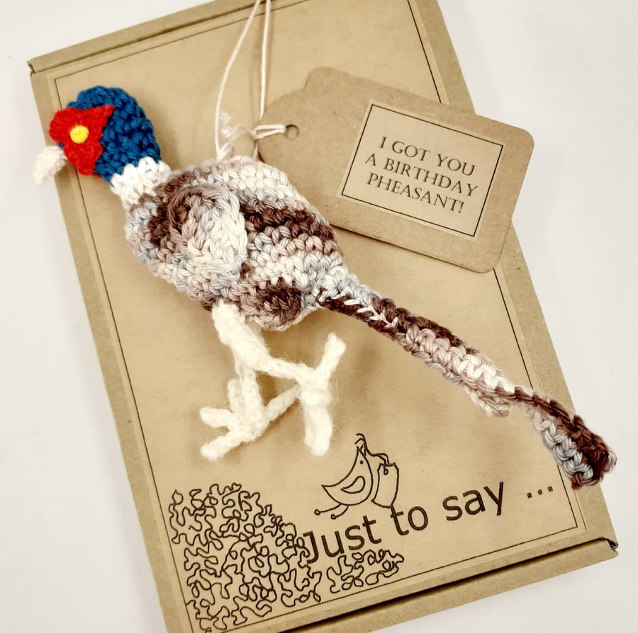 Crochet Pheasant Decoration - Alternative to a Birthday Card