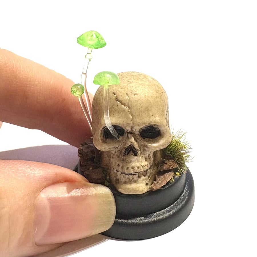 Skull and toadstools, Glow in the dark, Halloween gift, Macabre, Scary , horror