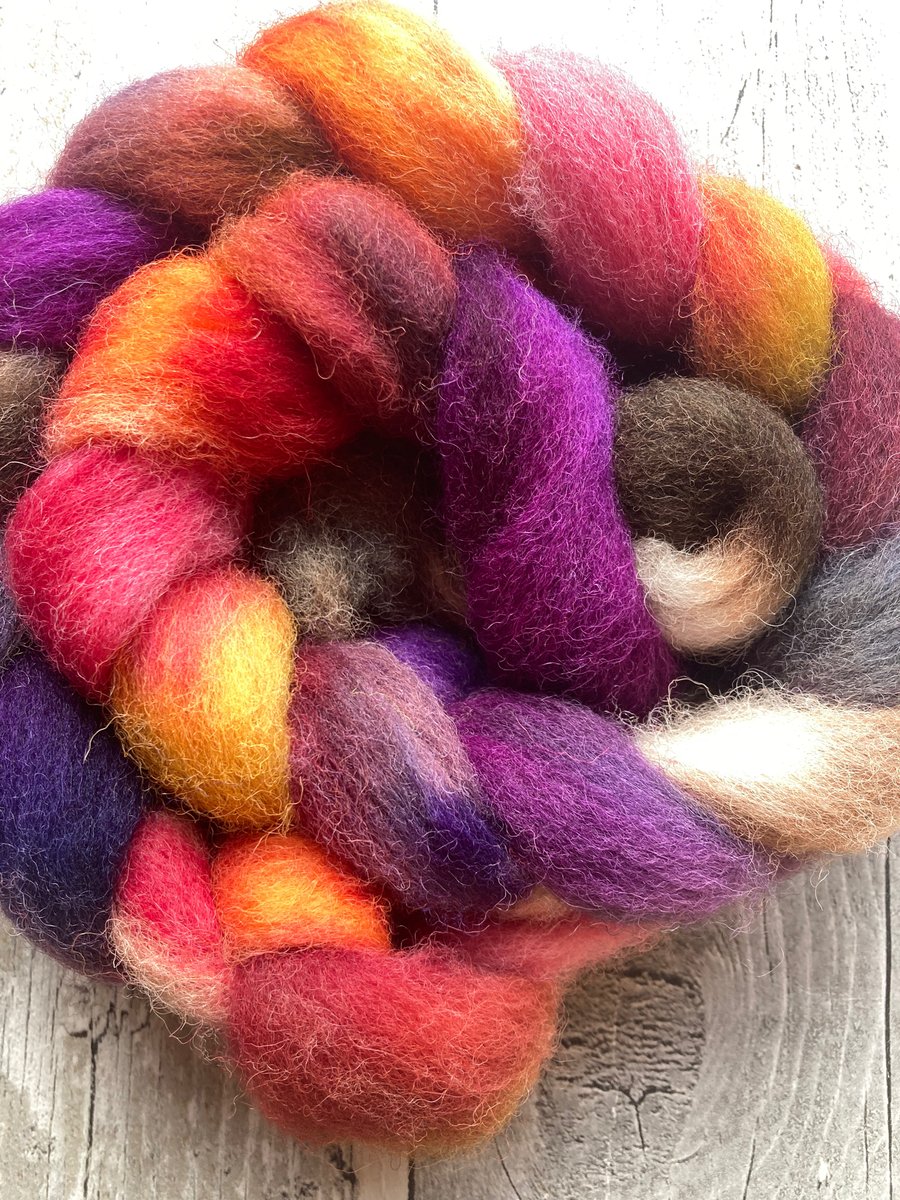 Exmoor Horn rare breed spinning fibre 100g OOAK