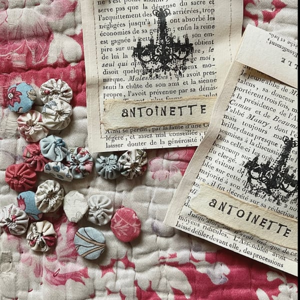 ‘Antoinette’ Suffolk puffs 
