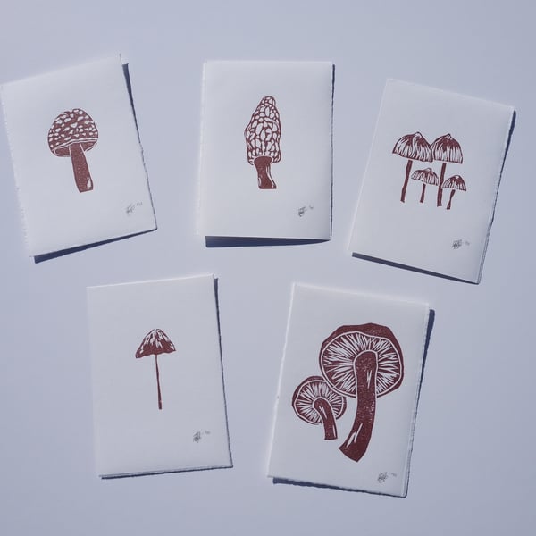 Mushrooms set of 5 small prints