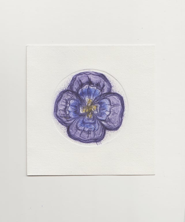 Mini Pansy Drypoint Print - Original Printmaking Art 
