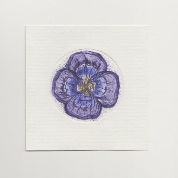 Mini Pansy Drypoint Print - Original Printmaking Art 