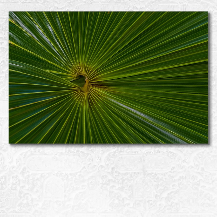 Green Thatch palm abstract