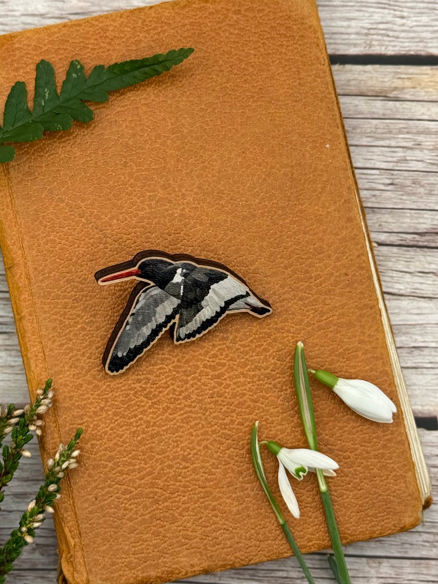 Oystercatcher Wooden Pin Badge