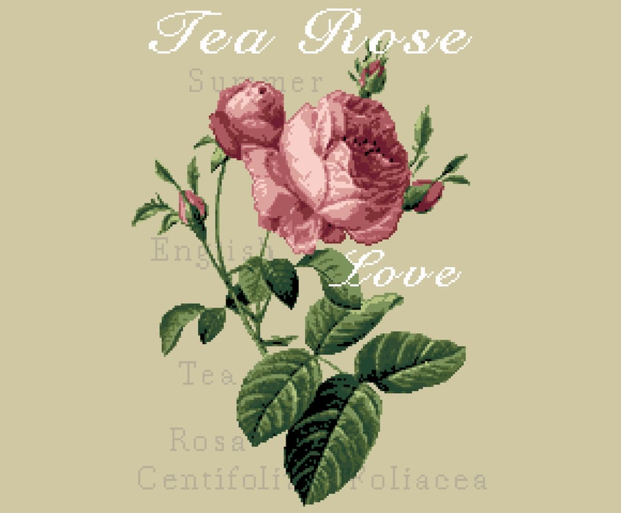 039 - Rustic English Roses - Cross Stitch Pattern