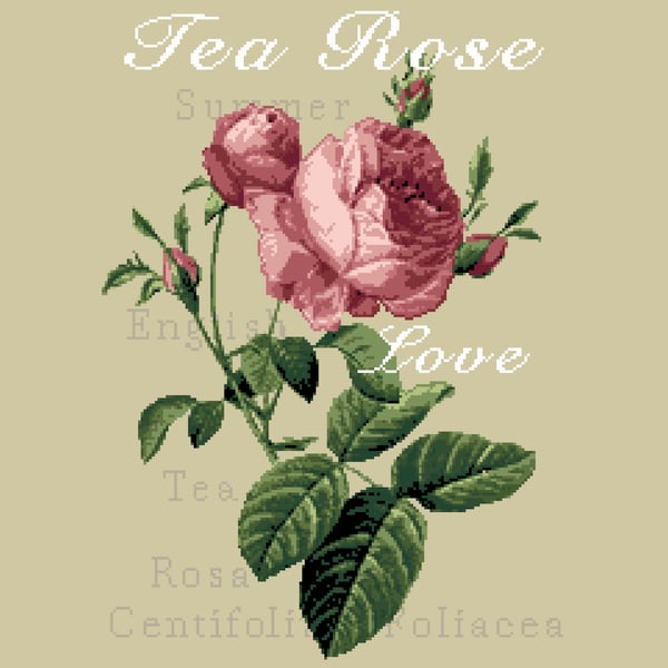 039 - Rustic English Roses - Cross Stitch Pattern