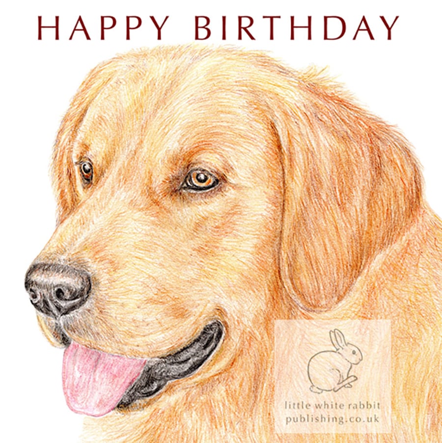 Barley the Golden Retriever - Birthday Card
