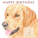 Barley the Golden Retriever - Birthday Card