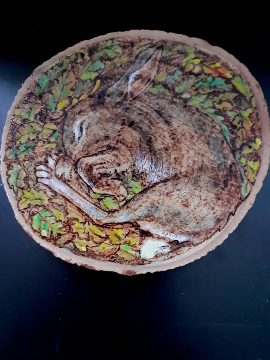 Sleeping hare woodslice art 