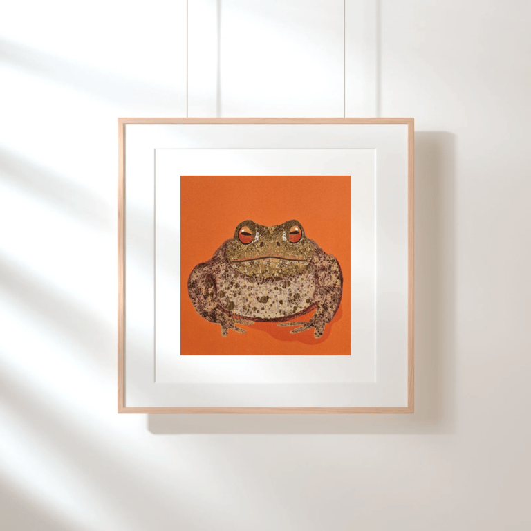 Common Toad Square Print