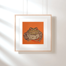 Common Toad Square Print