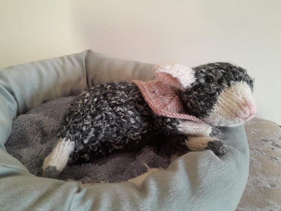 New Born Lamb, Dotpebblesknits Design,