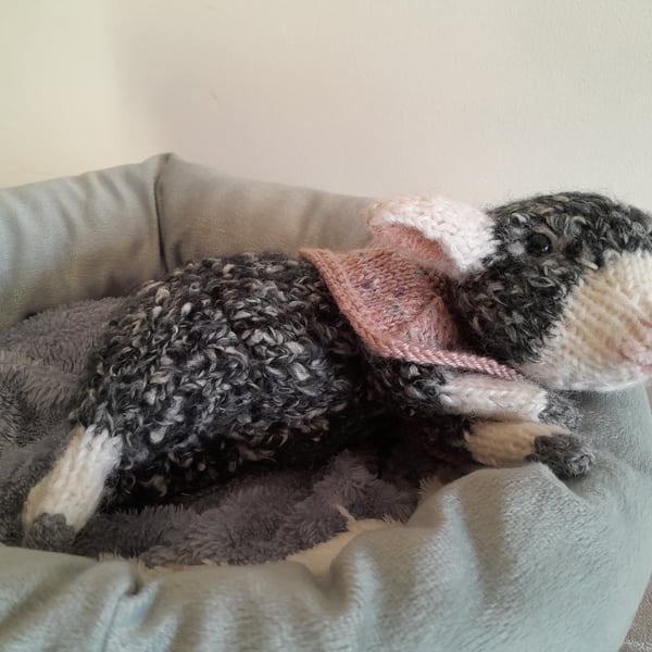 New Born Lamb, Dotpebblesknits Design,