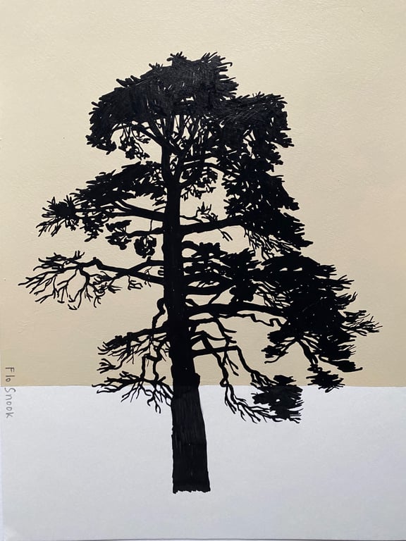 Torquay Monterey Pine no.66, A4 Original artwork, Creamy yellow